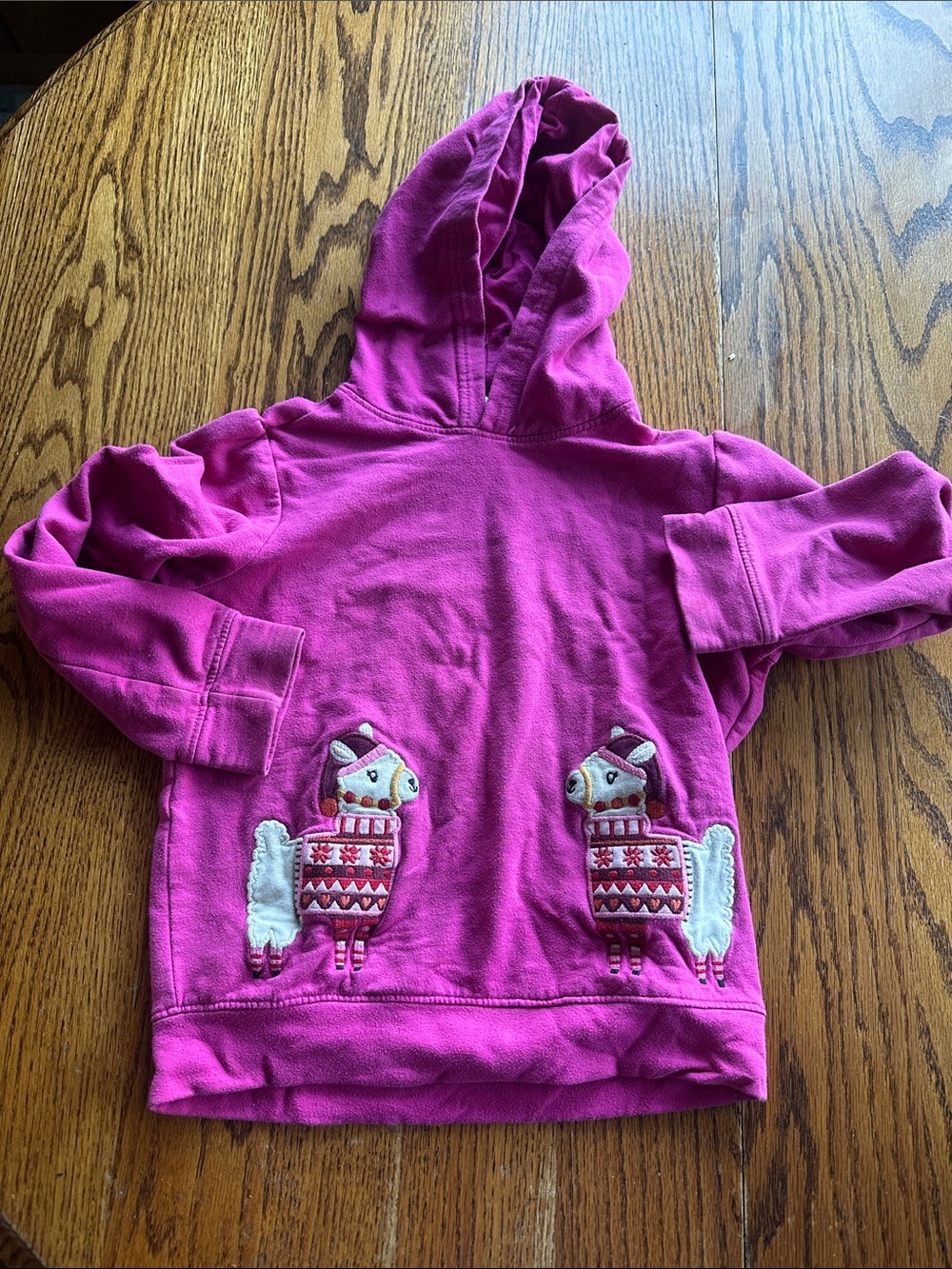 Gymboree Hooded Sweatshirt with Llama Appliqués